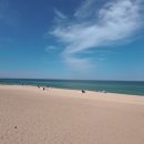우먼로드중앙점 | 🌊 강릉 헬스장 추천 여행 중 꼭 가야할 ‘오르소 피트니스’ 솔직 후기 (짐로드 프로젝트)