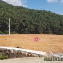 경남고성부동산.. 고성읍 소나무 울창한 숲속 전원주택지, 토지매매입니다.. 191평, 214평 외.. 이미지