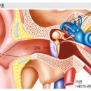 광교보청기 이미지