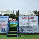 신송초등학교내 | 미취학아이(7세,5세)와 함께 송도해변축제 평일 이용후기_최신(+무료주차장부터 행사장까지 가는길)