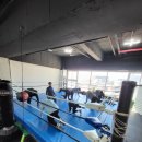 사우스포짐