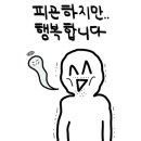 매송오토캠핑장 이미지