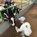 은하목장 이미지