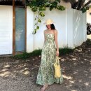 팜 비치 이미지