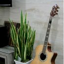 음치탈출 노래교실 이미지