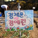 안양농장 네이버블로그