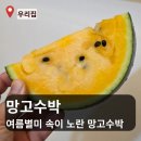 공드린라이프 | 망고수박 속이 노란 반전의 수박 아이들이 좋아하는 망고수박 후기