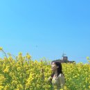 씨유 제주중문로드점 | 제주 서귀포 가볼만한곳 서쪽 여행코스 총정리 유채꽃명소 러닝코스 추천