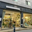 수원-1236 | 광교 상현역 꽃집 '아르비 스튜디오' 집들이 꽃다발 선물 추천