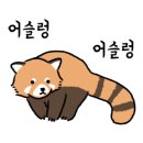 달서별빛캠프 캠핑장 이미지