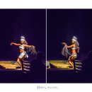 트믐 | 즐기자!괌 피쉬아이 디너쇼 텐테코마이~괌 맛집