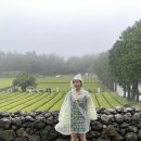 다원월드 이미지