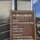 남가로 | 보니애가구 쇼룸 방문 후기｜가평까지 식탁 실물 보러 갔다가 결국 구매 완료