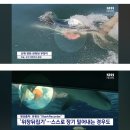 월요일에 만나는 여시 캡쳐 이미지
