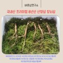 바른삼연구소 국내산 8년된 장뇌삼, 산양삼 먹는법