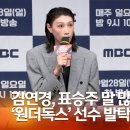 원더독 이미지
