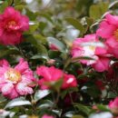 애기등 공원 이미지