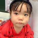 273 | 잠실야구장 외야 응원석 시야방해석 406블럭 271 272 273 후기