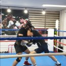 정무GYM 이미지