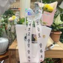 라파엘플라워