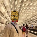 바이크DC