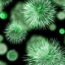 유성구외삼보건진료소 | 대전 보건소, 보건지소, 보건진료소 찾기