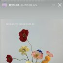 플로히스튜디오
