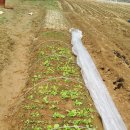 서당농장 이미지