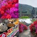 서본 | 강진 남미륵사 절망편, 주말 오픈런 줄 서본 후기(어린이용 우비썰)