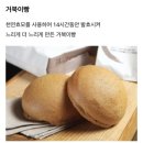 뚜쥬르과자점 | 뚜쥬르 과자점 메뉴 : 거북이빵, 소금빵 후기