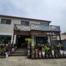 박경리메밀향 이미지