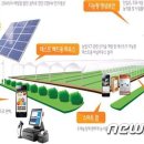 창조농장 이미지