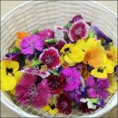 대망식품 이미지