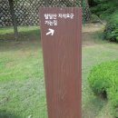 세류중앙약국 Daum카페
