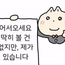 달보르미네일 | 5월의 온도