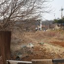 적토공인중개사사무소 | 화성 팔탄 부동산 전문가를 만나러 가다. [적토공인중개사사무소]