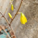 다시,봄 이미지