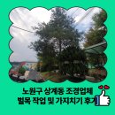 상계2동주민센터 | 노원구 상계동 조경업체 벌목 작업 및 가지치기 후기