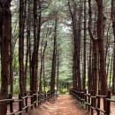 정현치과 이미지