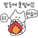 2024.04 와타시가 살 찐 이유🍿🍩🍰🍔🍟🍕🍗