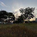 고덕수변공원 이미지