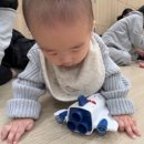 올림픽 슬라이딩센터 | 반짝별 일상 38 - 이마트 문화센터 천안서북점 자연물 촉감놀이 까르까르 6개월~12개월 수업후기 3(7~9...