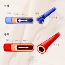 다리핏의원 이미지