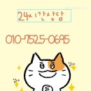 삼정동366-2(1) | 삼정동고양이분양 브숏입양 첫 만남