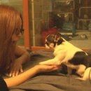 와와농장 이미지