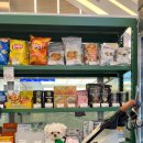 애견백화점 이미지