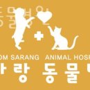 봄사랑동물병원 이미지