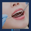 다인치과기공소 Daum카페