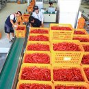 영양고추유통센터 이미지