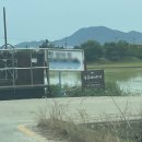 분홍 농장 | 부산 아이랑 블루베리 체험 추천 (분홍 베리 농장)